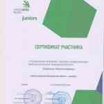 сертификат Болдыревой К.